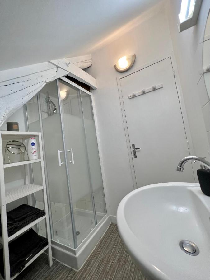 Bel Appartement Lumineux 35M2, Bord De Loire Saint-Jean-le-Blanc Exterior foto