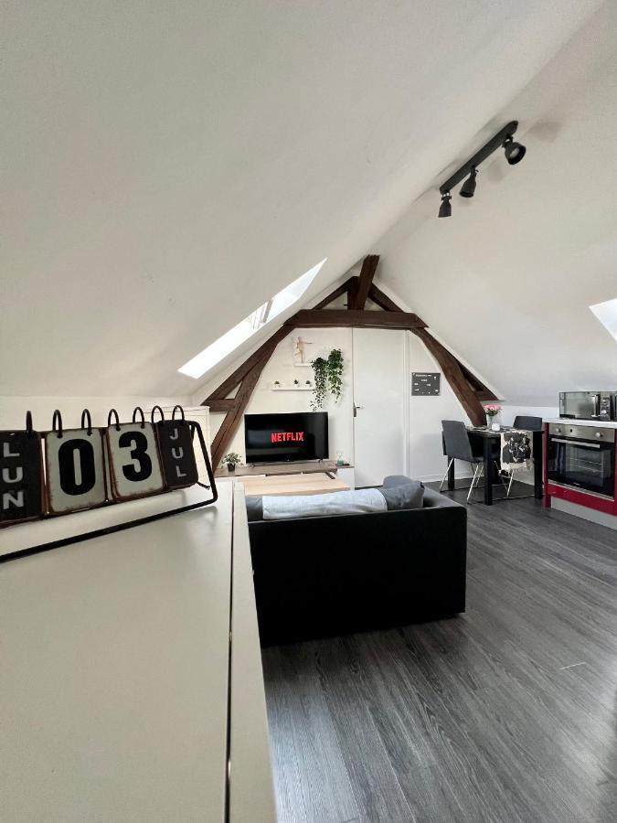 Bel Appartement Lumineux 35M2, Bord De Loire Saint-Jean-le-Blanc Exterior foto