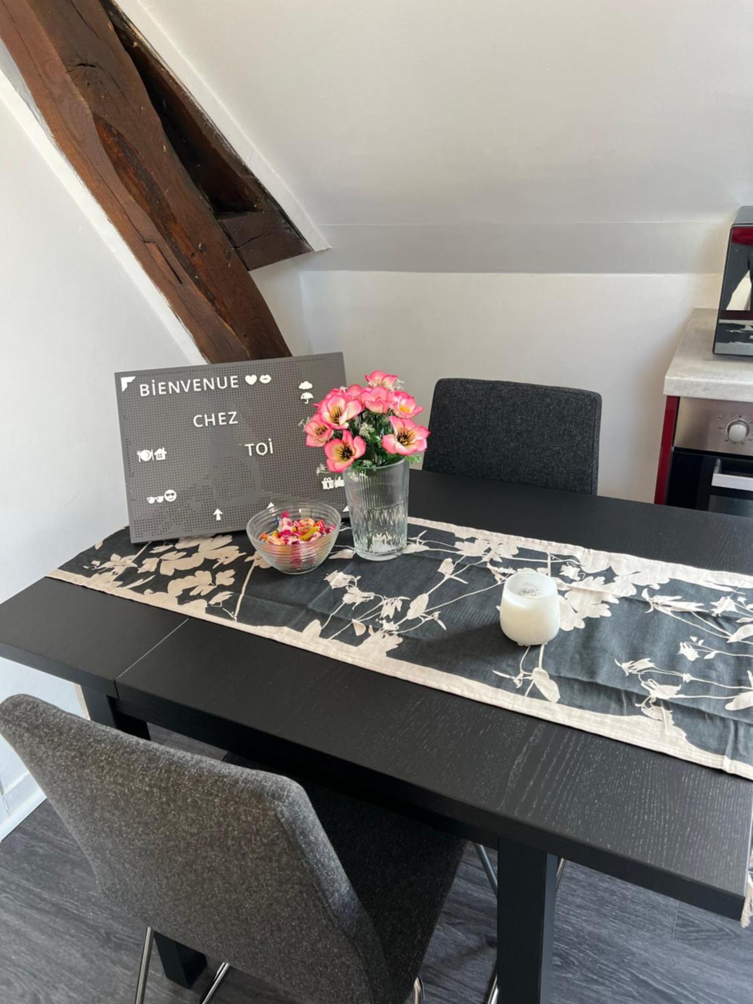 Bel Appartement Lumineux 35M2, Bord De Loire Saint-Jean-le-Blanc Exterior foto